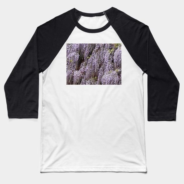 Wisteria Cascades Baseball T-Shirt by AlexaZari